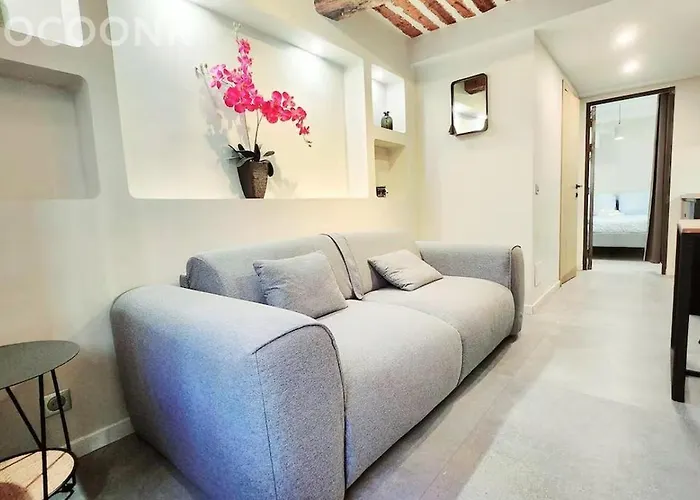 La Fourmi Azureenne - Dans Le Vieil Apartment Antibes