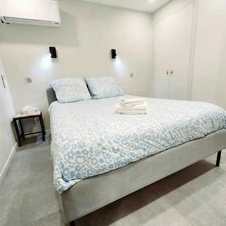 La Fourmi Azuréenne - Dans Le Vieil *